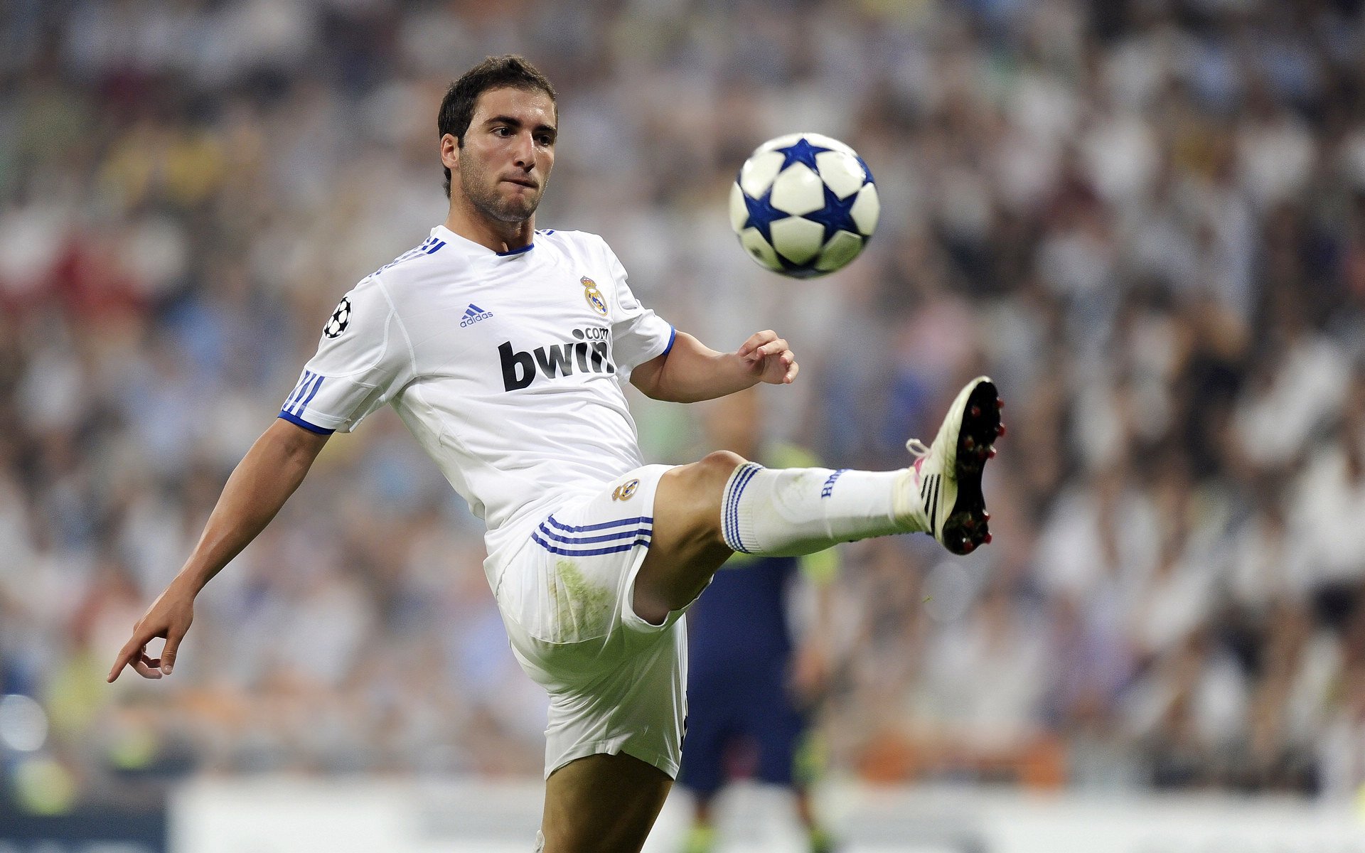 _篮网队全队火力全开，攻势凌厉_，篮网的队